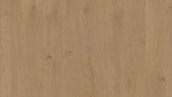 Weitzer Diele 1800 Eiche  Auster wild stark gebürstet gefast ProVital finish 69322